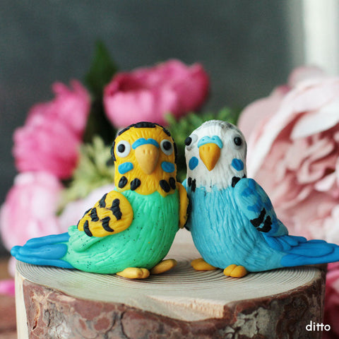 February | Love Bird Budgies | Adult & Family workshop | Lantzville location