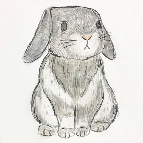 Bunny Love 5 Week Kids Session