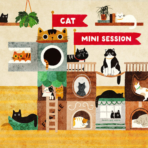 september | hygge kitties mini session | 3 weeks