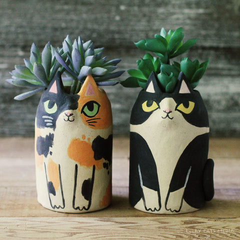 september workshops