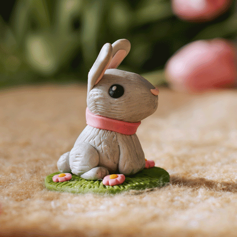 Bunny Love 5 Week Kids Session