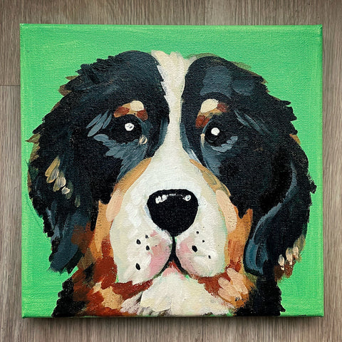 February | Furry Friend