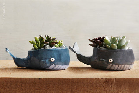 stoneware clay projects