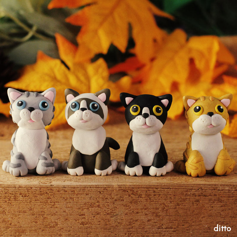 September Mini Session | Cute Little Kitties | 3 Weeks