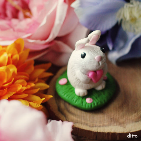 Valentine's Day Celebration | Love Bunny